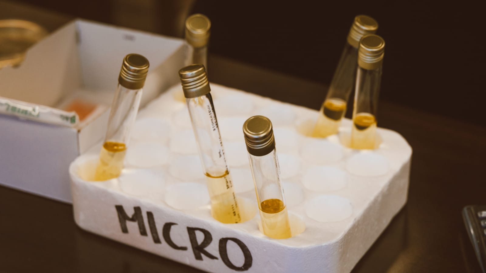 Small glass vials in a tray on a clean counter — nad+ injection benefits at OC Weight Loss & Med Spa, Mission Viejo