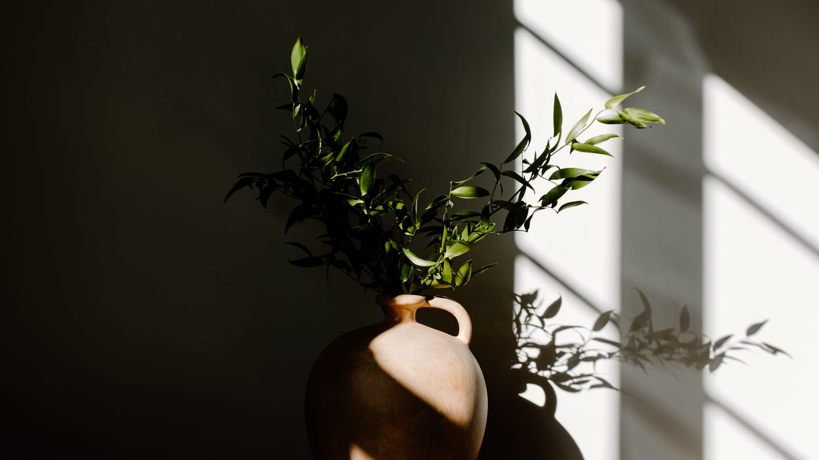 Calm, softly lit sitting area with linen furnishings and a potted plant — sleep and weight loss at OC Weight Loss & Med Spa